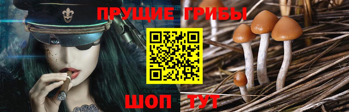 Псилоцибиновые грибы ЛСД Калининград